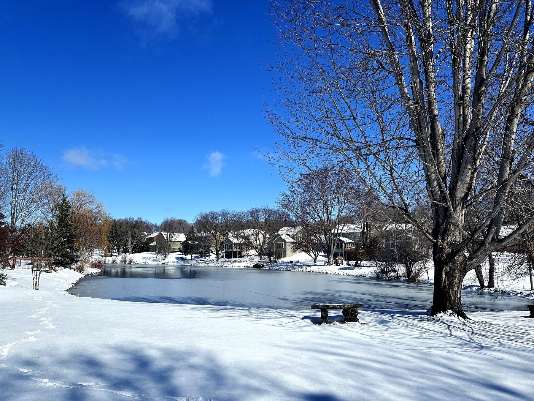 A snow-covered landscape with a frozen pond, bare trees, and residential houses under a clear blue sky. Shadows stretch across the snow.